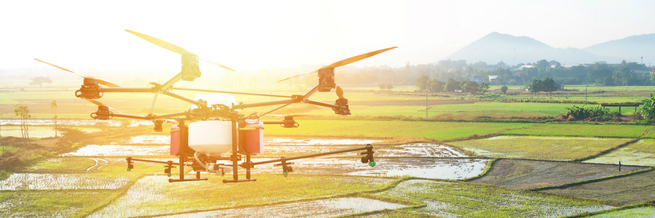 sUAS flying over agricultural field