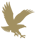 Embry-Riddle gold eagle logo
