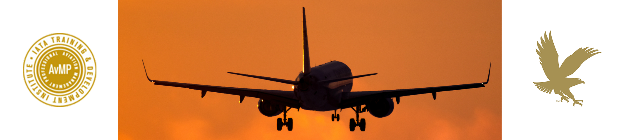 Silhouette of plane in flight with IATA AvMP and Embry-Riddle logos