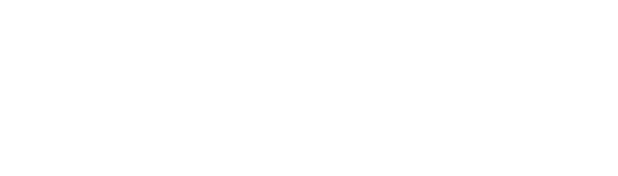 Entrinsik University