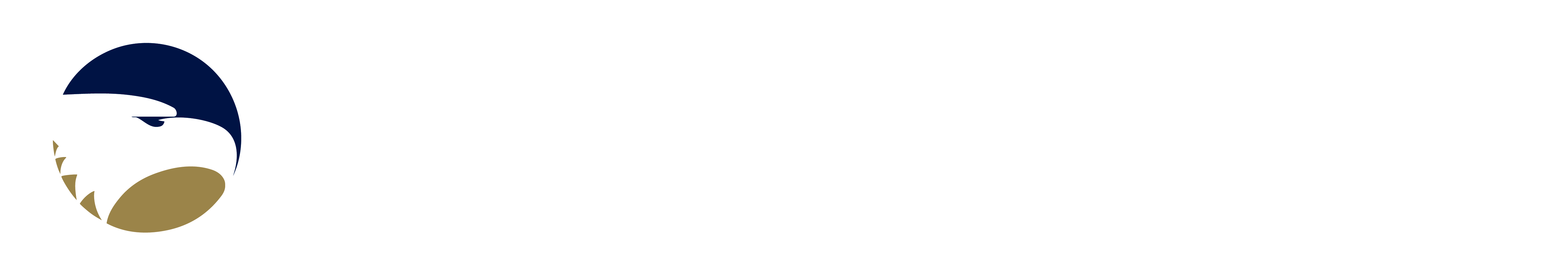 Georgia Southern University Division of Continuing Education