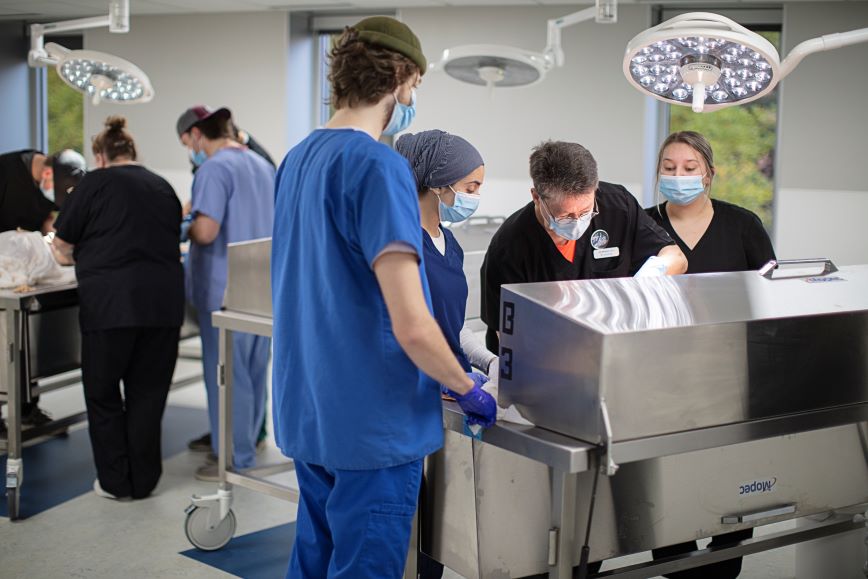 people in anatomy lab