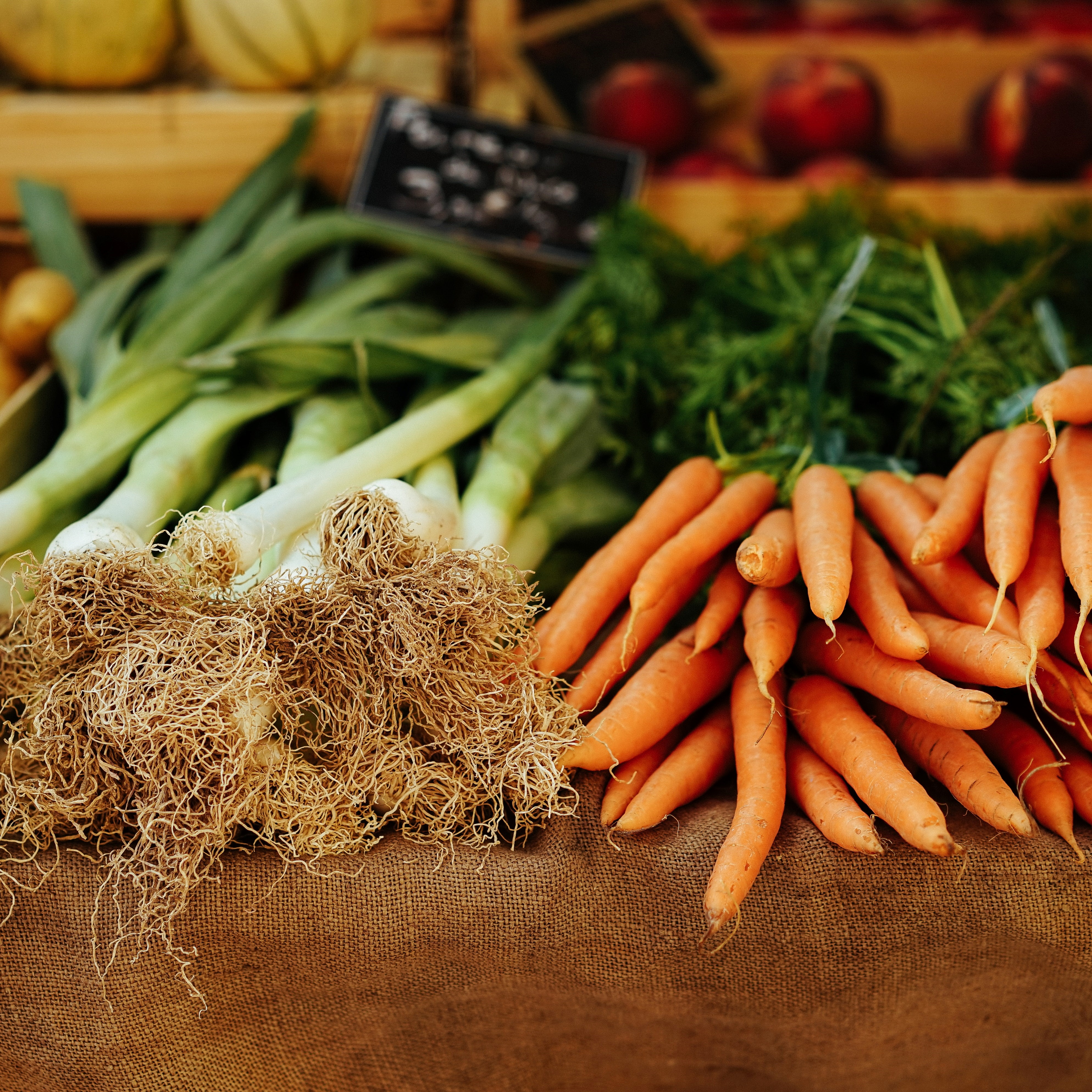 Functional Nutrition Certification #2 of 4:  GI Conditions