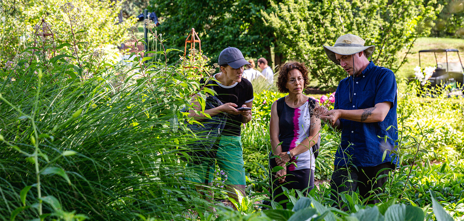 Nybg Horticulture Certificate Nybg Horticulture Certificate