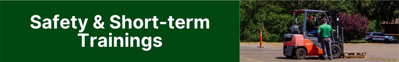 safety and short-term training