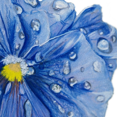 BOTANICAL PASTELS AT BELLE ISLE