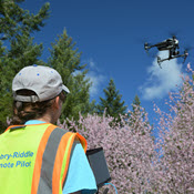 Woman operating sUAS over trees