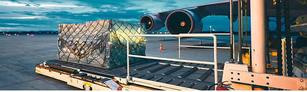 Cargo on pallets outside an airplane