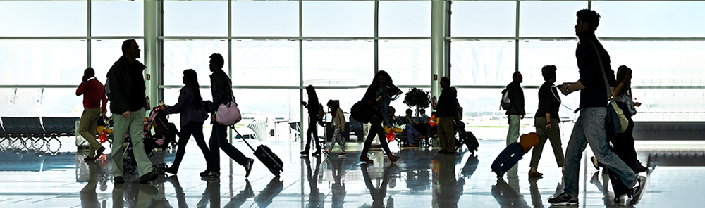 A large group of arriving passengers. Panorama. Airport.