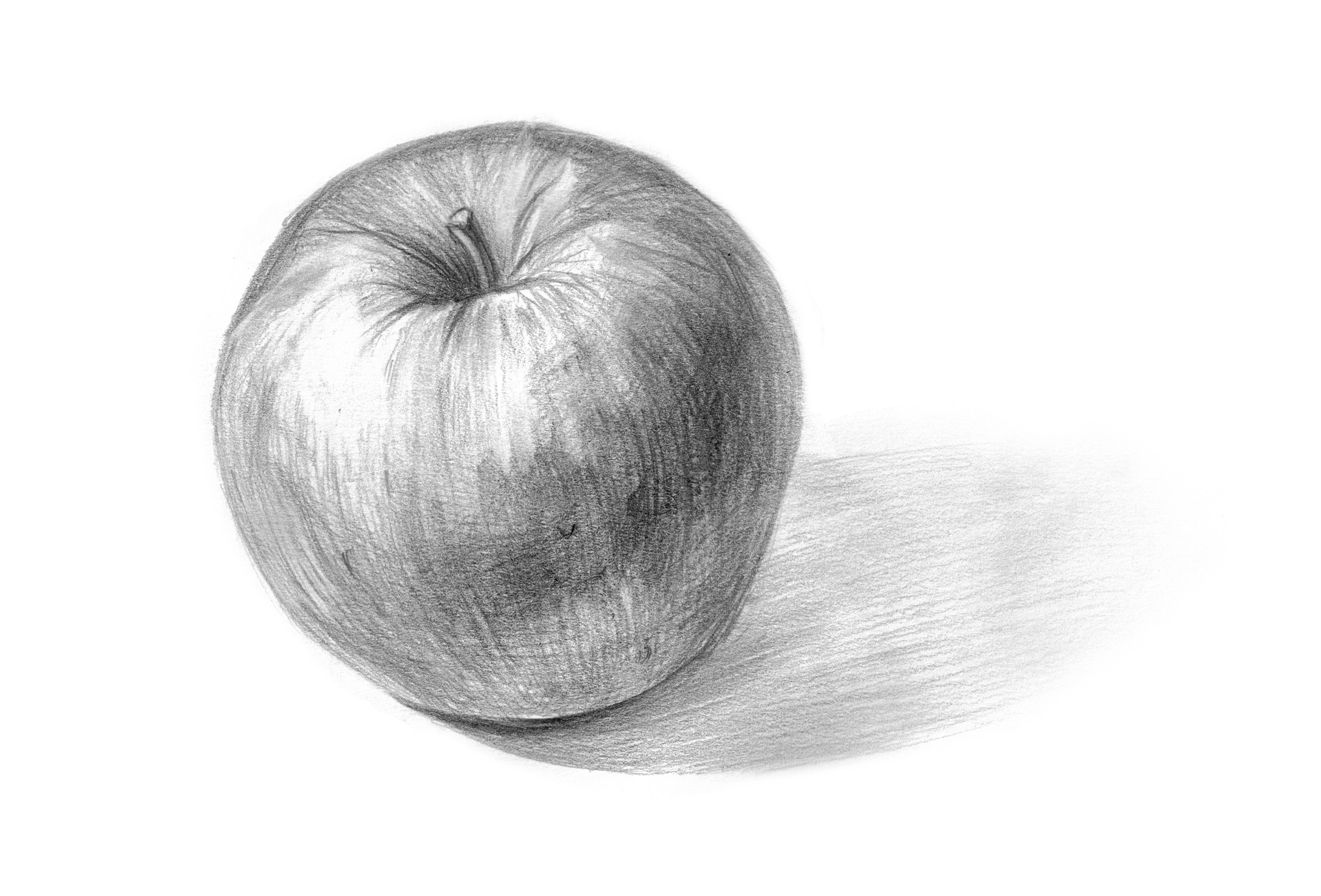 Pencil drawing of apple;