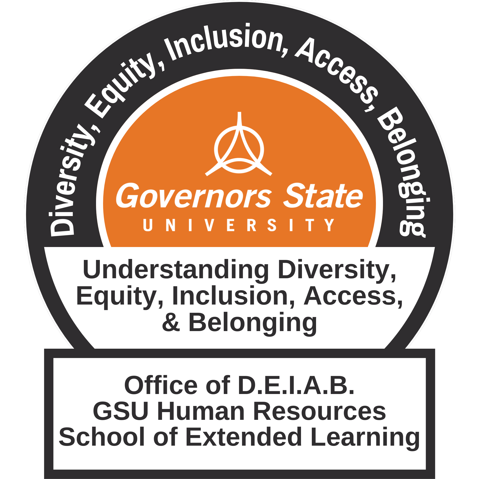 Understanding Diversity, Equity, Inclusion, Access, and Belonging