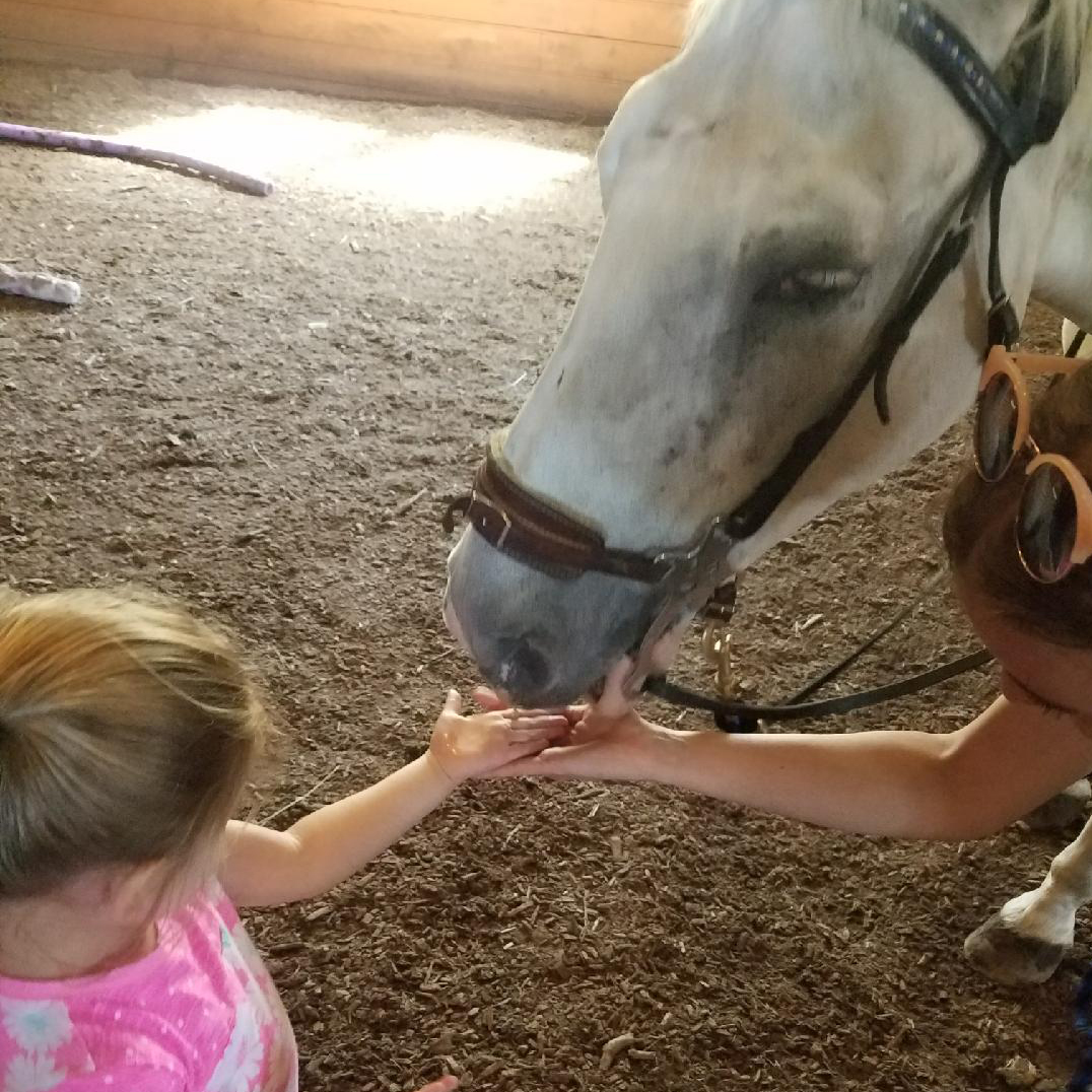 Week-Long Horse Day Camp | age 6-17