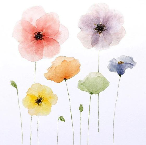 Botanical Watercolor Painting | age 16+