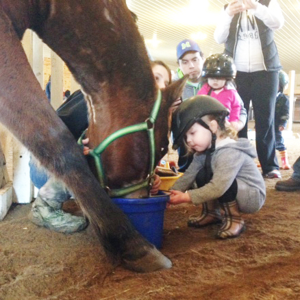 My Little Horse Camp | age 2-5 w/parent