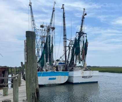 (CINT10126/CINT10126Z) WHERE HAVE ALL THE SHRIMP BOATS GONE? HUMOR, HISTORY AND HERITAGE