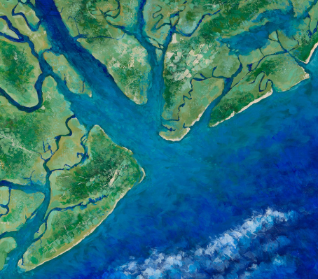 (ECO11426) EXPLORING THE PORT ROYAL SOUND